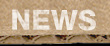 bern news