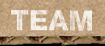 bern team