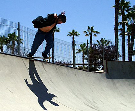 Falco Baltys